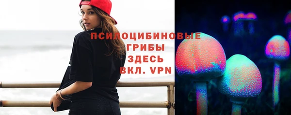 прущая мука Алзамай