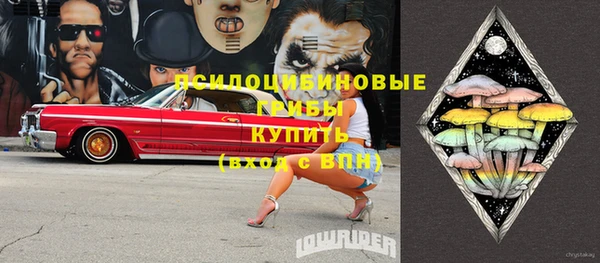 амф Дмитров