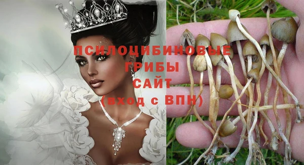 прущая мука Алзамай