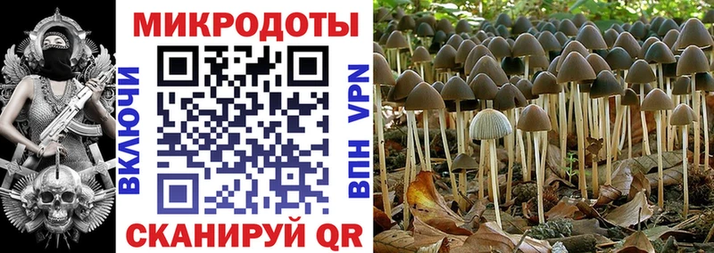 Псилоцибиновые грибы GOLDEN TEACHER  закладки  Златоуст 
